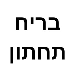 בריח תחתון