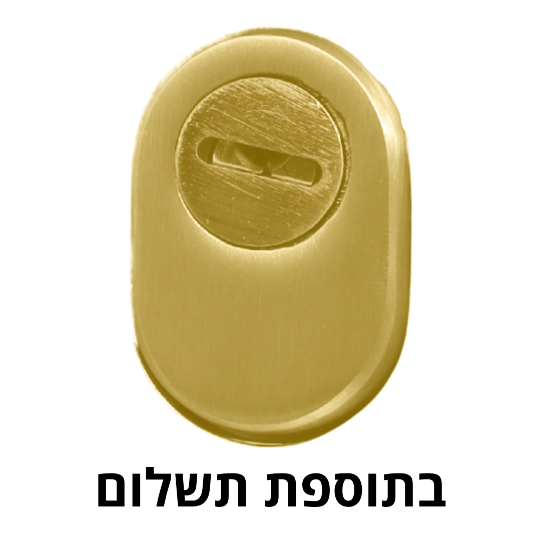 תוספת מגן צילינדר זהב שיריונית